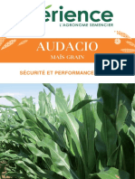 Pentra Audacio: Adjuvant Maïs Grain