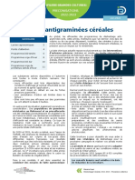 Désherbage Antigraminées Céréales: Preconisations 2022-2023
