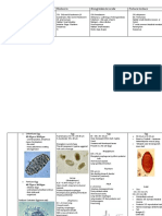 Reviewr Parasite Nematodes Whole PDF