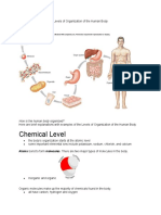 Chemical Level: How Is The Human Body Organized?