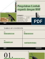 Pengolahan Limbah Organik Dengan BSF: Kelompok 6