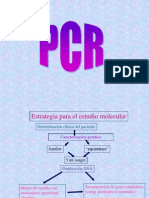 PCR