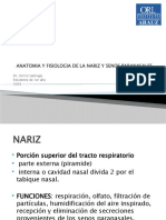 Anatomia de Nariz y Senos para Nasales