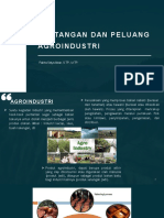 Tantangan Dan Peluang Agroindustri: Rakha Satya Idsan, S.TP., M.TP