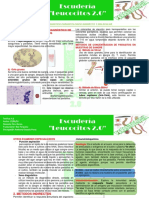 Exámenes Directos para Diagnóstico de Hemoparásitos: Tema: Diagnostico Parasitologico Indirecto Y Molecular