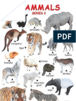 Animal Classificatiob