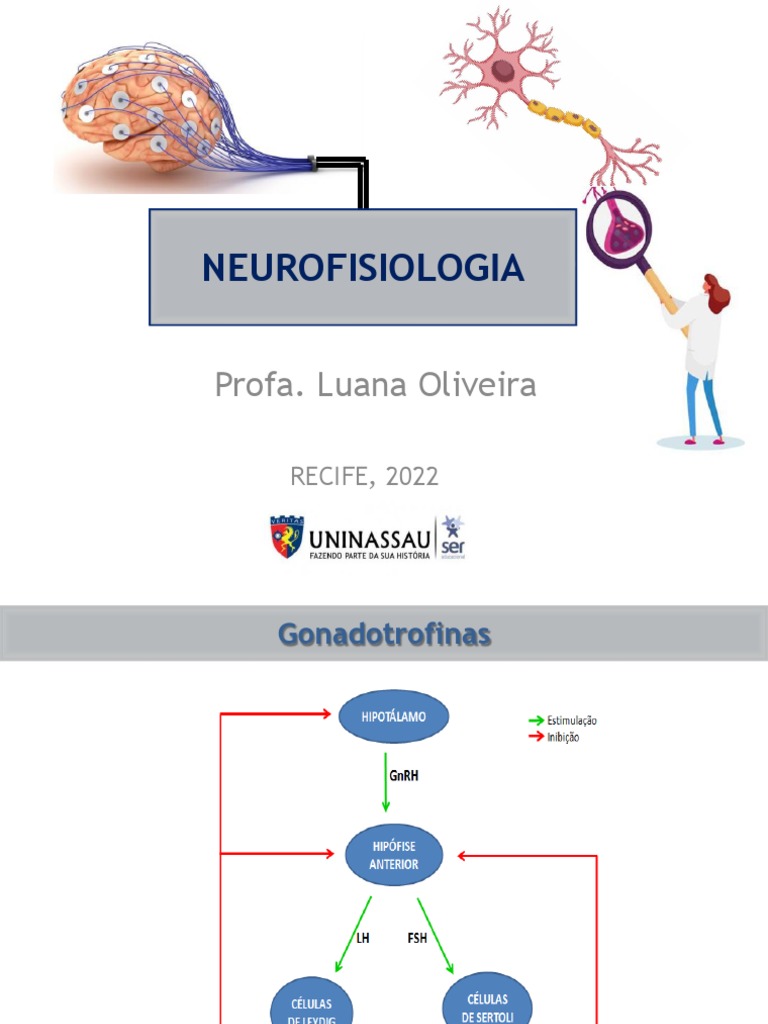Neurofisiologia Ritmos Biológicos | PDF | Glândula pituitária | Cortisol