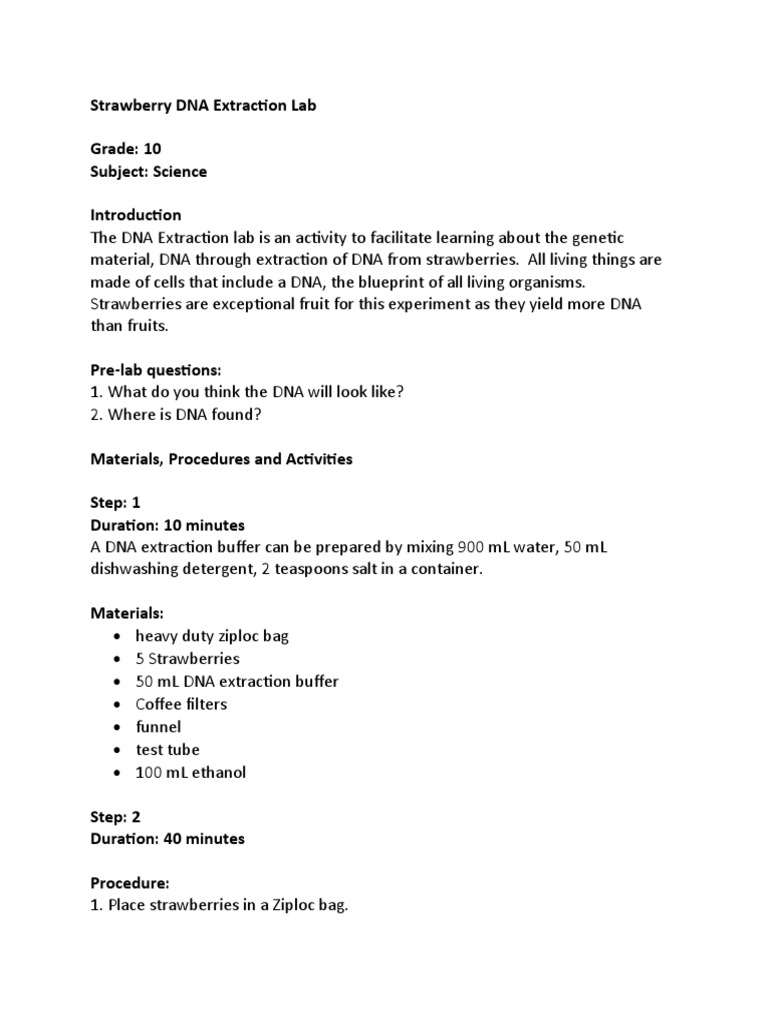 Strawberry DNA Extraction Lab | PDF