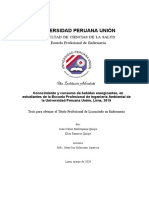 Universidad Peruana Unión: Facultad de Ciencias de La Salud Escuela Profesional de Enfermería