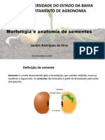 Universidade Do Estado Da Bahia Departamento de Agronomia: Morfologia e Anatomia de Sementes