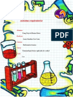 Sistema Respiratorio