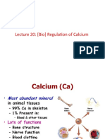 Lecture 20: (Bio) Regulation of Calcium
