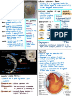 Applied: Ciliary