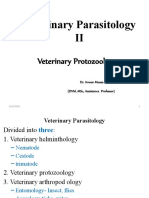 Parasaytology 2 DR