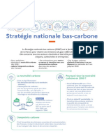 Strategie Carbone FR - Oct 20