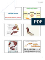 Fisiologia Muscular