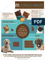 Aspca Dog Chocolate Toxicity Chart