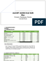 Projet Agricole Sur 3ha:: Piment, Pastèque, Pondu Caoutchouc