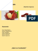 Rambután: (Nephelium Lappaceu)