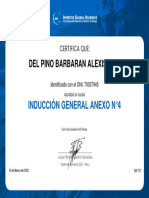 Del Pino Barbaran Alexis Luis: Inducción General Anexo N°4