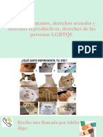 Derechos Humanos, Derechos Sexuales y Derechos Reproductivos, Derechos de Las Personas LGBTQI