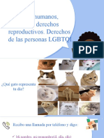 Derechos Humanos, Sexuales y Derechos Reproductivos. Derechos de Las Personas LGBTQI