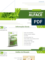 Alface: Resultado de Campo