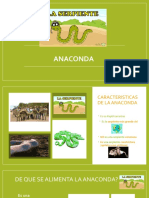 Anaconda (1) PPT Niños Pre Basica