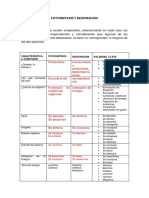 Fotosintesis y Respiracion - Actividad