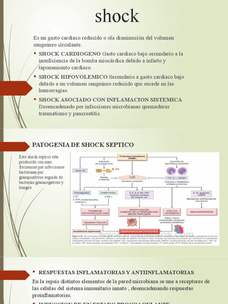 Fisiopatología del Shock Séptico | PDF
