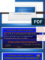 Alteraciones Benignas Del Cérvix Uterino