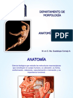 Anatomía, UAA Introducción Ma. Gpe Cornejo