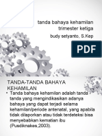 Tanda Bahaya Kehamilan Trimester Ketiga: Budy Setyanto, S.Kep
