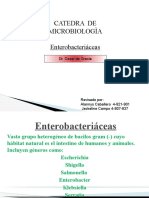 Bacilos Gram Negativos (Enterobacterias)