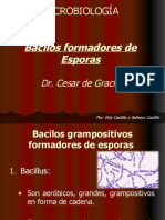 Bacilos Grampositivos Formadores de Esporas