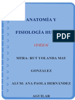 Anatomía Y Fisiología Humana: Ideen