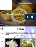 Evolução Dos Frutos: Curso de Ciências Biológicas Análise Da Flora Fanerógama 4º Período