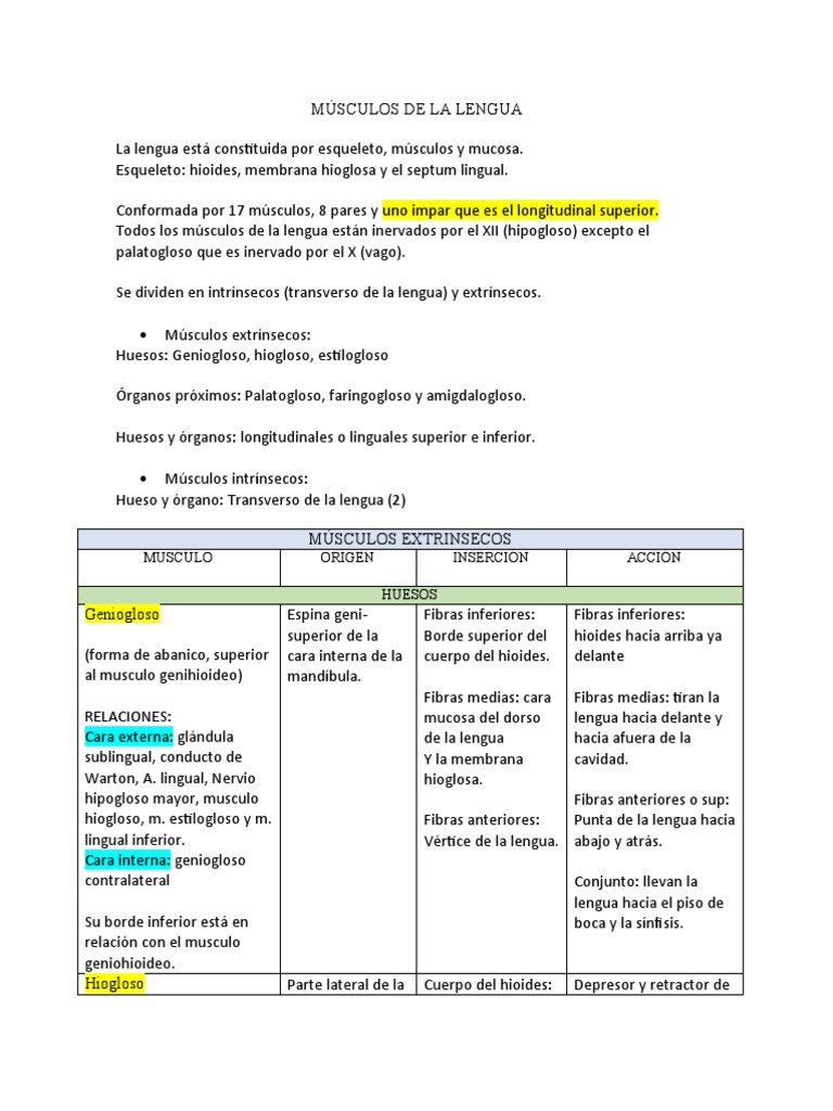 Anatomía y Músculos de la Lengua | PDF | Órganos sensoriales | Cabeza y ...