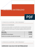 Ejercicio de Materialidad en Auditoria de Los Estados Financieros