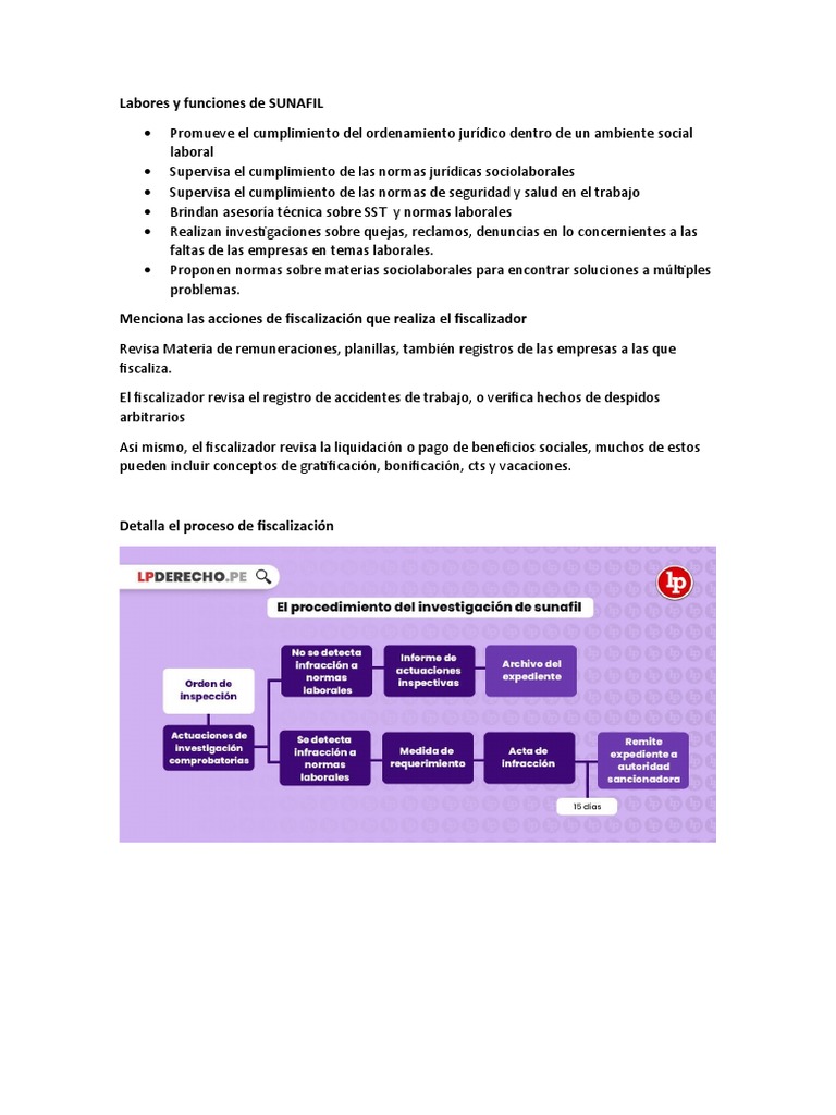 Labores y Funciones de SUNAFIL | PDF