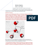 Tarea 1 PH y Agua Rubrica