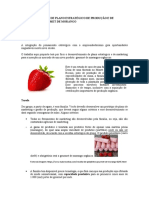 Desenvolvimento de Plano Estratégico de Produção E de Marketing - Gourmet de Morango