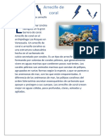 A Que Le Llamamos Arrecife e Coral Ejercico 7