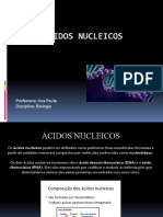 Ácidos Nucleicos: Professora: Ana Paula Disciplina: Biologia