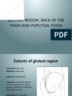 Gluteal Region, Back of The Thigh and Popliteal Fossa: Kimaiga H.O 1 Year MBCHB (Uon)