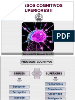 Procesos Cognitivos Superiores Ii: Docente UCSC Alejandra Jerez S