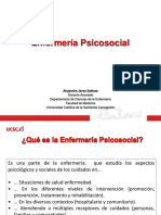 Enfermería Psicosocial Aspectos Cuidados