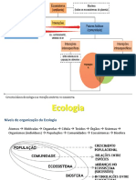 Bio2 Super Semana 2