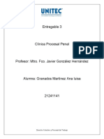 Entregable 3 Clinica Procesal Penal