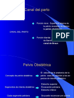 Canal Del Parto: Porción Dura: Superficie Interna de La Pelvis Revestida de Tejidos La Pelvis Obstétrica